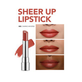 رژ لب جامد Sheer Up فلورمار 22